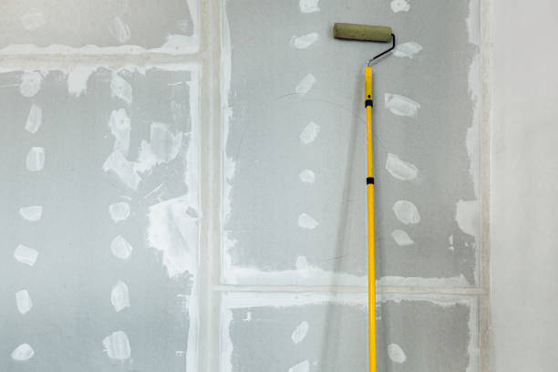 Best Mold Removal for HVAC Installations  in Francisville, KY