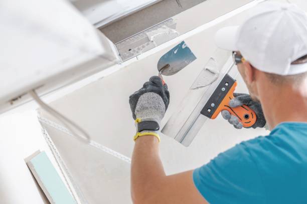 Best Industrial Mold Remediation  in Francisville, KY